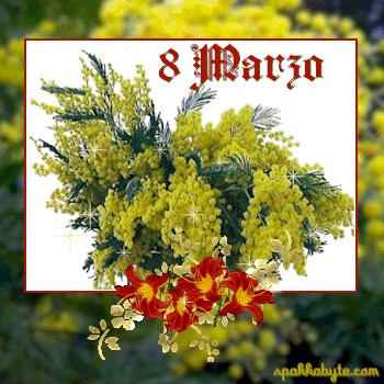  GIF 8 Marzo - Auguri a tutte le Donne - Festa della Donna 