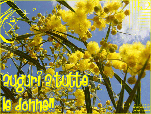 GIF 8 Marzo - Auguri a tutte le Donne - Festa della Donna 