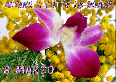 GIF 8 Marzo - Auguri a tutte le Donne - Festa della Donna 