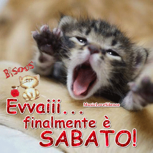 GIF, immagini, frasi e messaggi di un felice e buon Sabato e Sabato