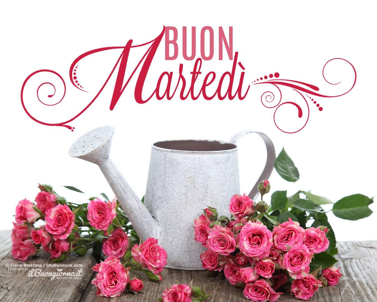 GIF, immagini, frasi e messaggi di un felice e buon Martedì