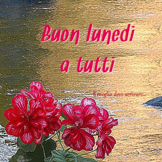 Immagini buon lunedì a tutti - il meglio deve arrivare