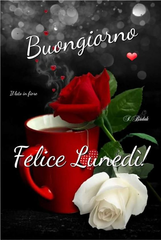 Immagini buon lunedì – EnGiEl.com
