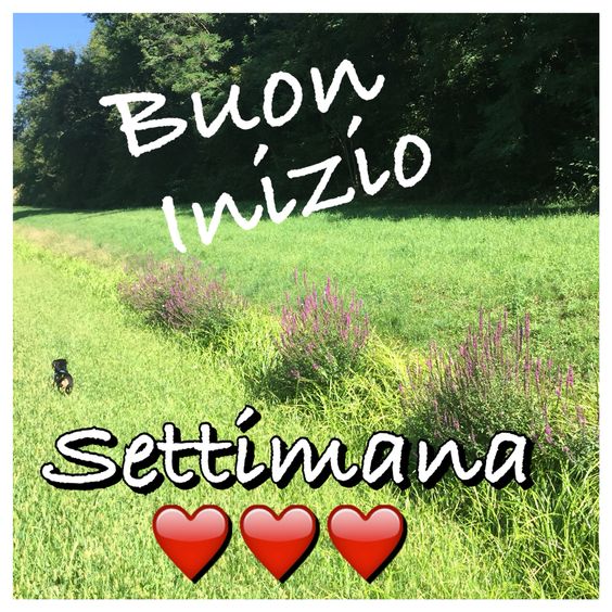 Immagini Buon inizio di settimana - Buon Lunedi