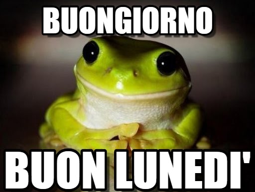 Immagini Buon inizio di settimana - Buon Lunedi