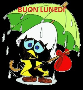 Immagini Buon inizio di settimana - Buon Lunedi piovoso