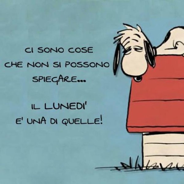 Immagini buon lunedì