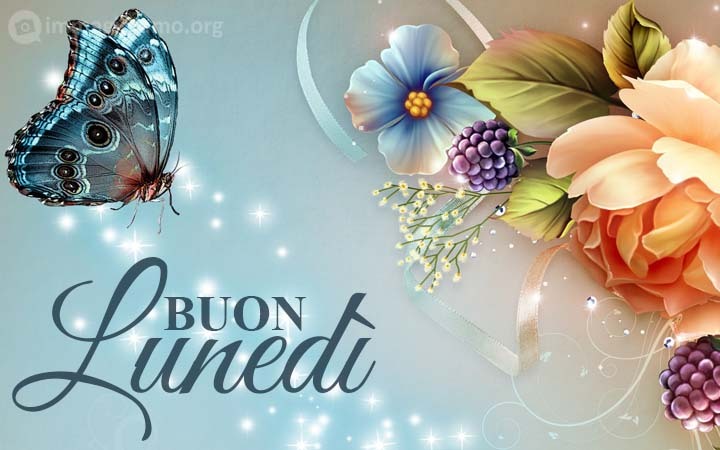 Immagini buon lunedì