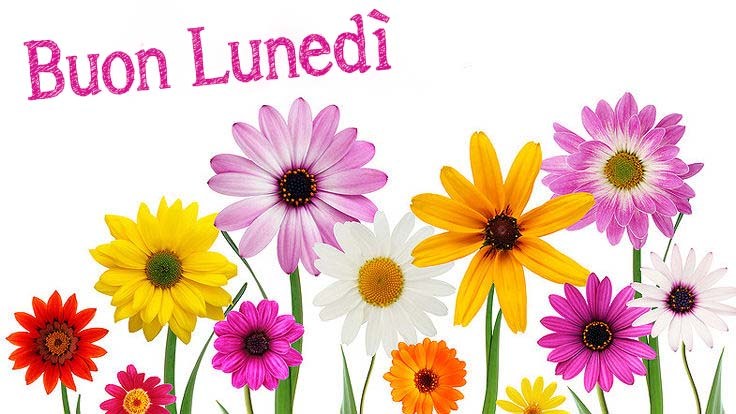 Immagini buon lunedì