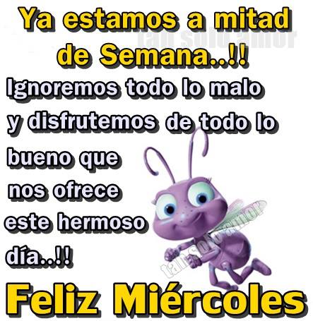 imagen Feliz Miercoles