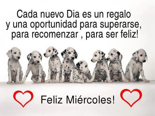 imagen Feliz Miercoles