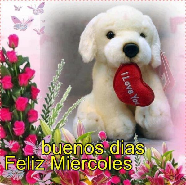 imagen Feliz Miercoles