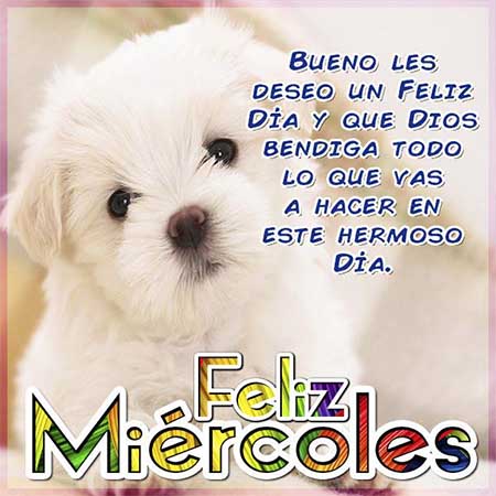 imagen Feliz Miercoles