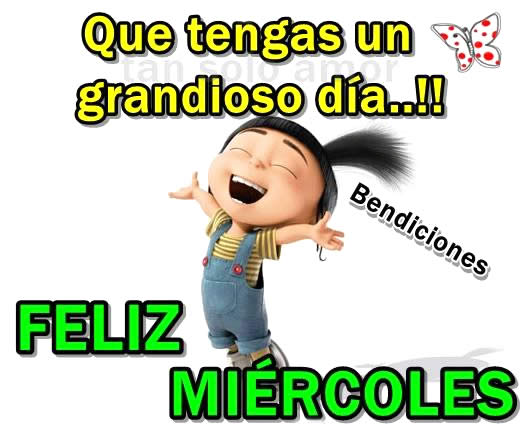 imagen Feliz Miercoles