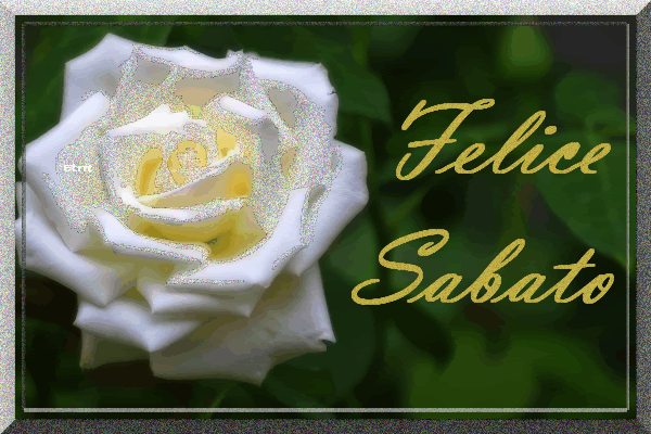 GIF felice Sabato