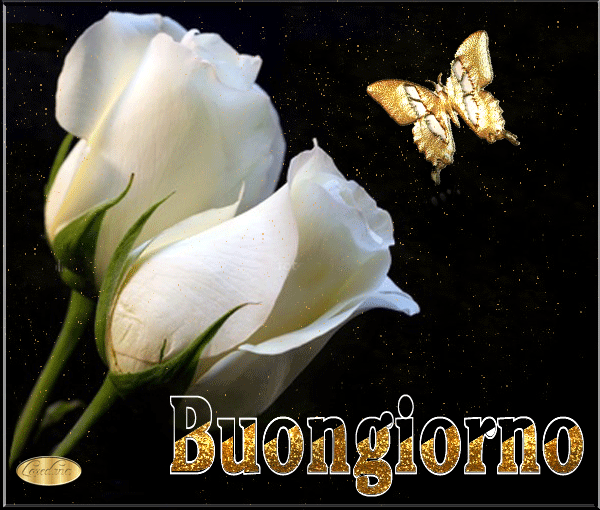 GIF Buongiorno
