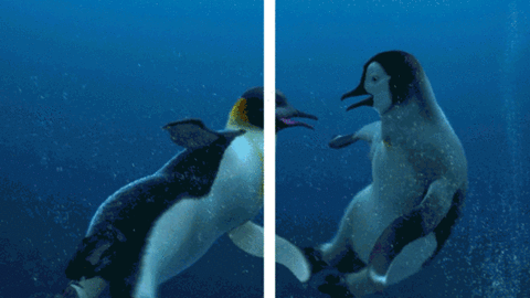 GIF 3d – Pinguini