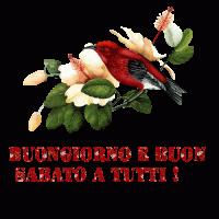 GIF buongiorno e buon sabato a tutti
