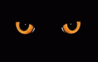 GIF di Halloween - Occhi di Gatto