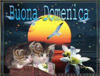 GIF buona domenica