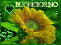 GIF Buongiorno