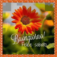 GIF buongiorno ebuon sabato a tutti