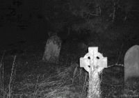 GIF di Fantasmi