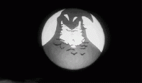 GIF Horror di Paura