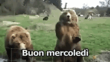 GIF Buon Mercoledi