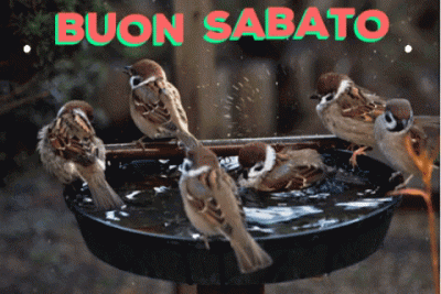 GIF Buon Sabato