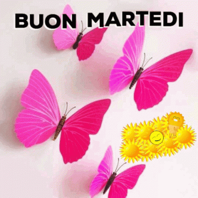 GIF Buon Martedi