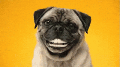 gif sorriso