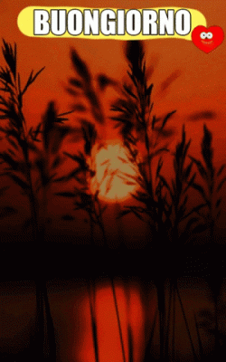 GIF Buongiorno
