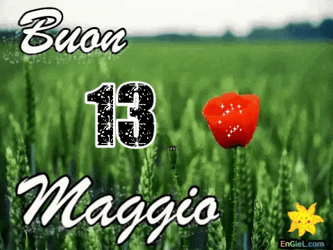 GIF Buon 13 Maggio | GIF su EnGiEL.com