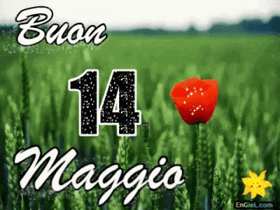 GIF 14 maggio