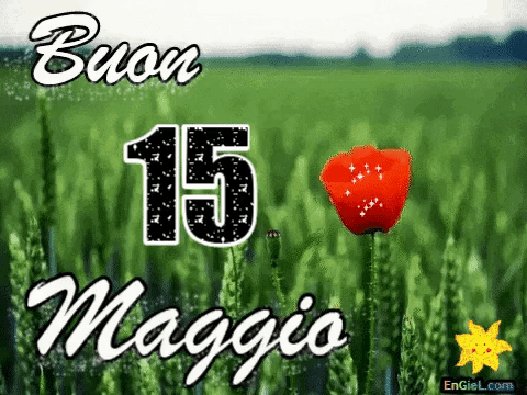 GIF 15 maggio