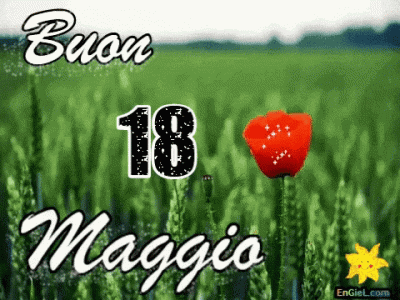 GIF 18 maggio