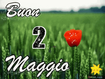 GIF 2 maggio