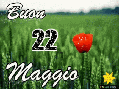GIF 22 maggio