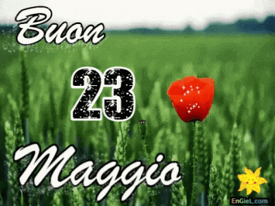 GIF 23 maggio