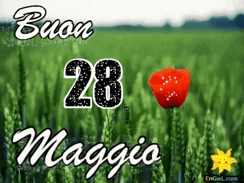 GIF 28 maggio