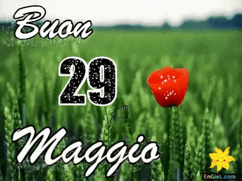 GIF 29 maggio