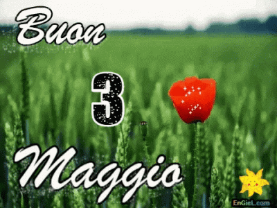 GIF 3 maggio