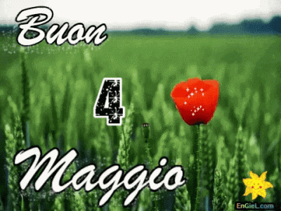 GIF 4 maggio