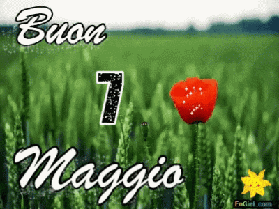 GIF 7 maggio