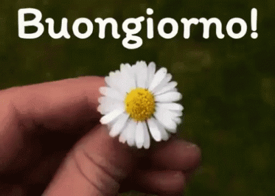 GIF Buongiorno