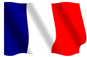 GIF bandiera Francese