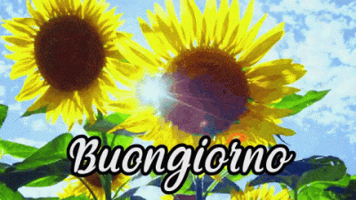 GIF buongiorno