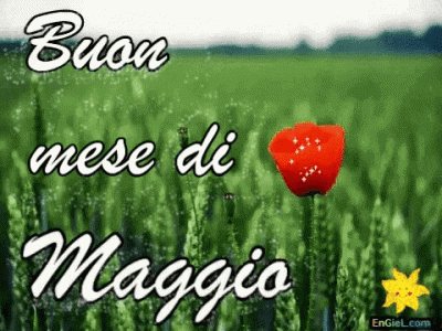 GIF mese di maggio