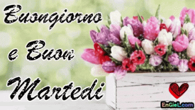 GIF Buongiorno e Buon Martedi